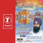 Bhai Taarbalbir Singh Ji-Amritsar Wale Songs MP3 Download